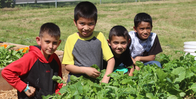 community_gardens