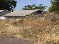 Dry grass and weeds over 10' tall, fire hazard