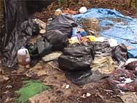 Garbage and waste, odor and unsanitary conditions