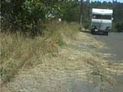 Grass and weed debris on the sidewalk