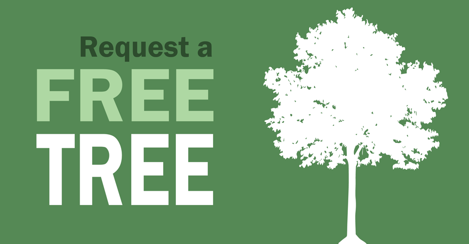 Request a Free Street Tree