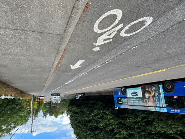 Hall Blvd Bike Lane