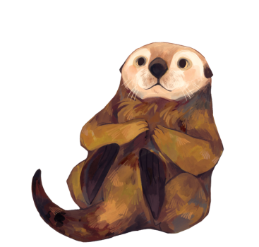 10 Otter PNG